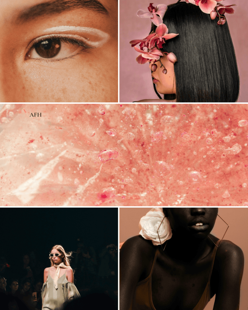 A fashion hypothesis collage for homepage